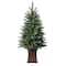 3.5ft. Unlit Berkeley Fir Artificial Potted Christmas Tree